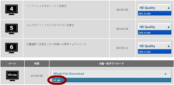 Japanska（ヤパンスカ）はスマホでも使える？